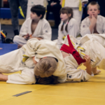 Image de Amicale Laïque de Judo (AL Judo)